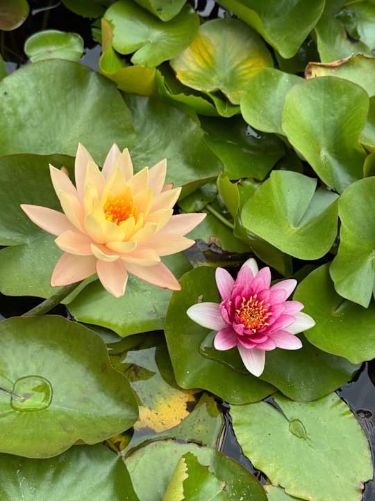 Sonstiges Hotel Riu Bravo