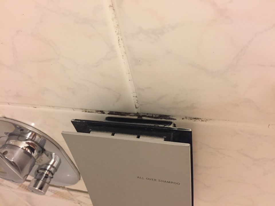 Zimmer Dolce by Wyndham Bad Nauheim