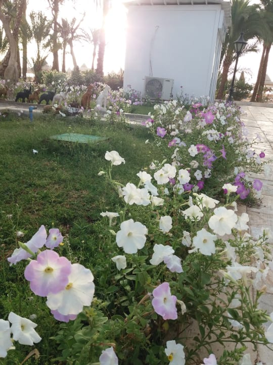 Gartenanlage The Grand Hotel Hurghada