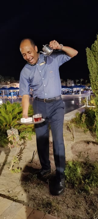 Gastro Pickalbatros Palace Hotel-Port Ghalib
