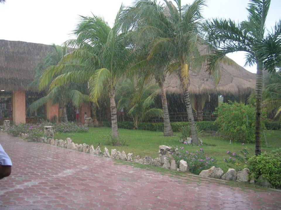 Starke Regenschauer Akumal Bay Beach & Wellness Resort