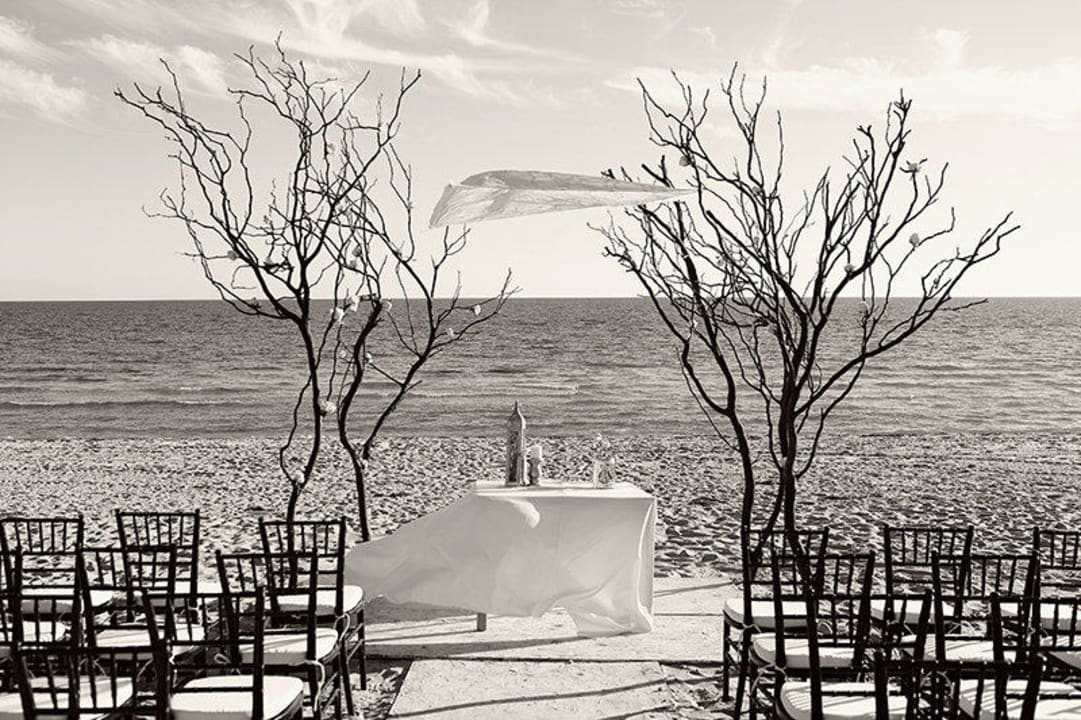 Wedding time Luna Blanca at Rocky Point