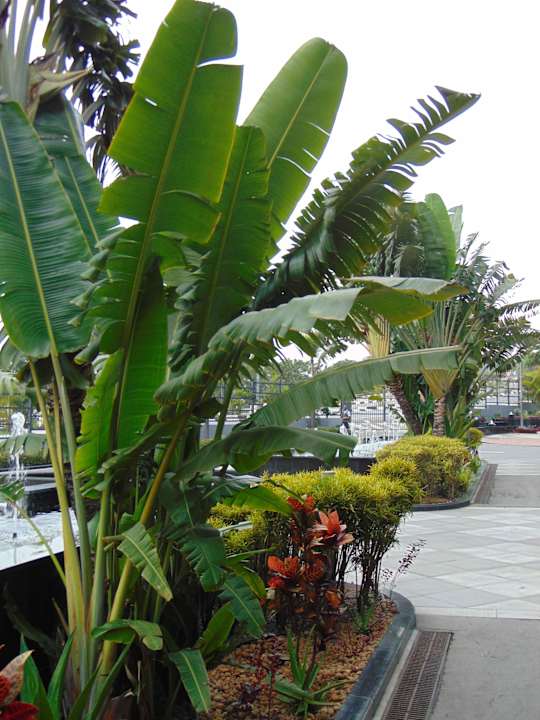 Gartenanlage InterContinental Luanda Miramar by IHG