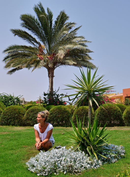 V zahradě Malikia Resort Abu Dabbab