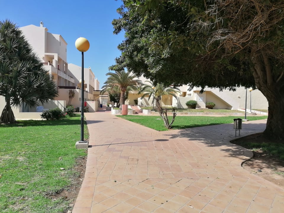 Gartenanlage Hotel Riu Oliva Beach - Hotel