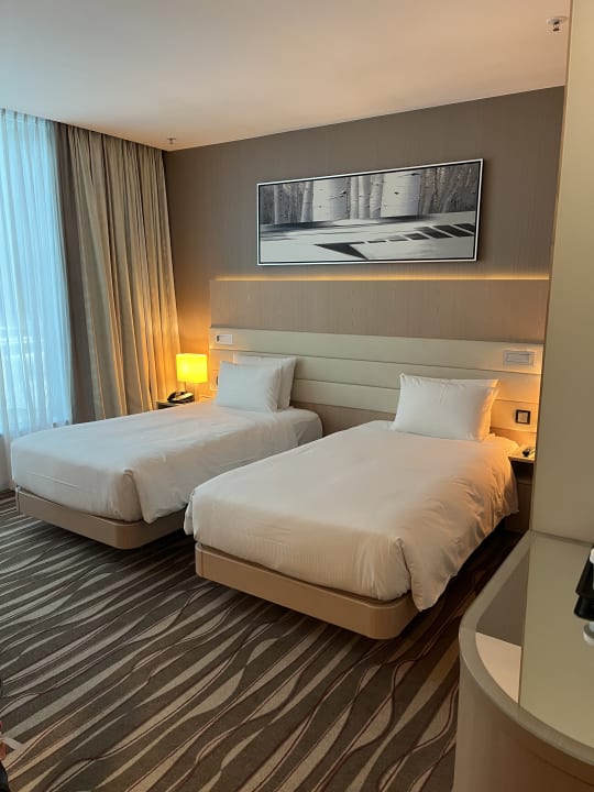 Zimmer Hilton Frankfurt Airport