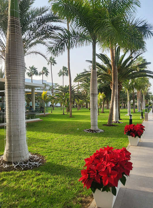 Gartenanlage Hotel Riu Gran Canaria
