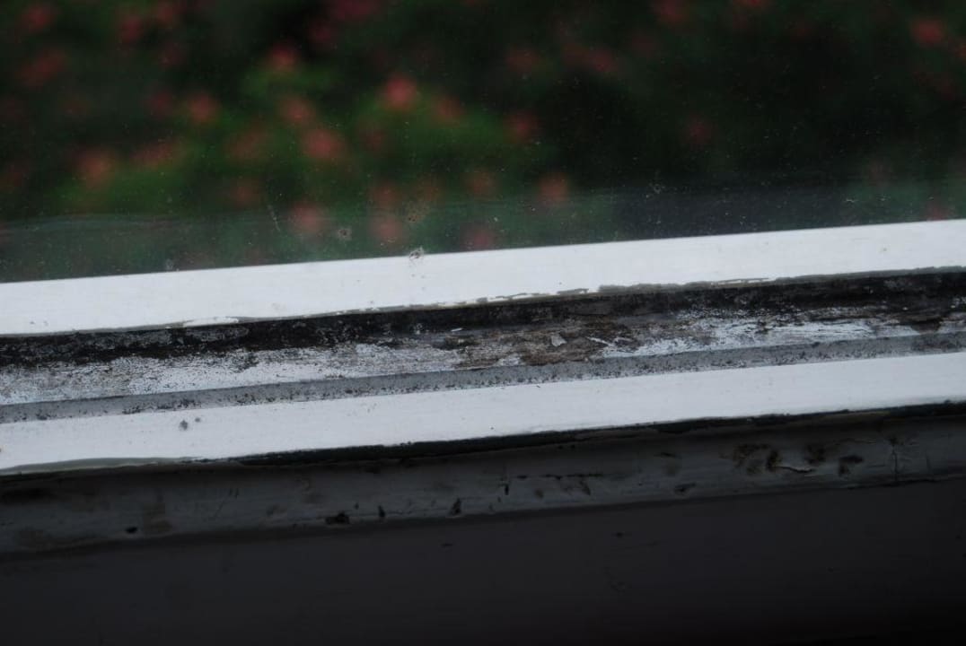 Fenster City Hostel Bellamontis