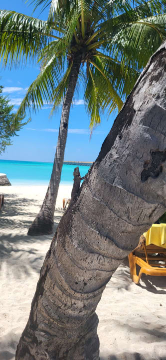 Strand Centara Ras Fushi Resort & Spa Maldives