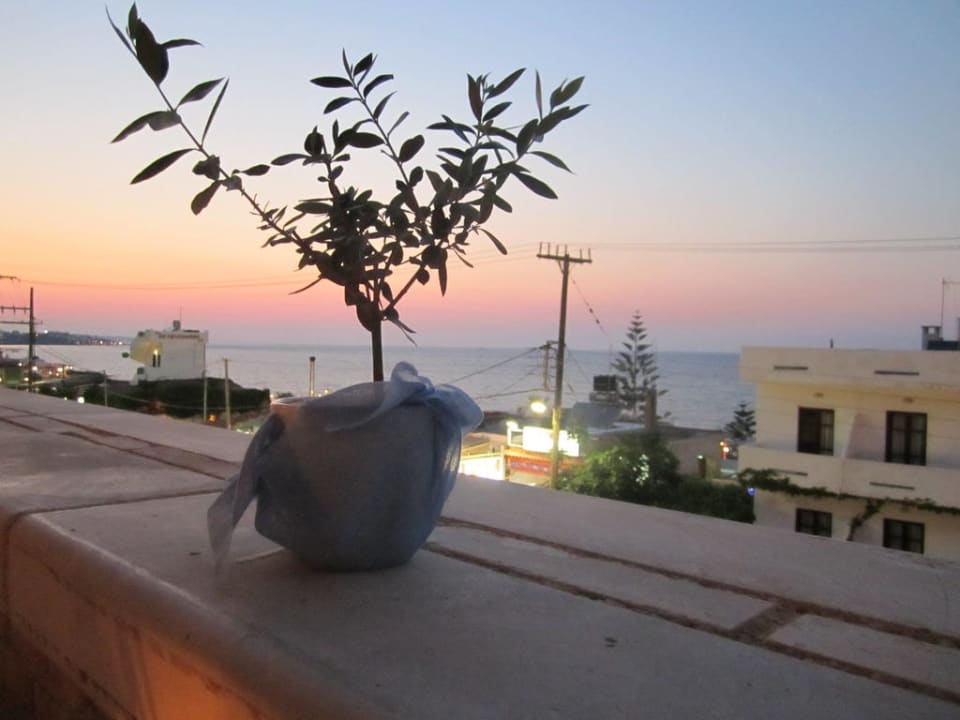 Ausblick vom a la carte Restaurant Cactus Royal