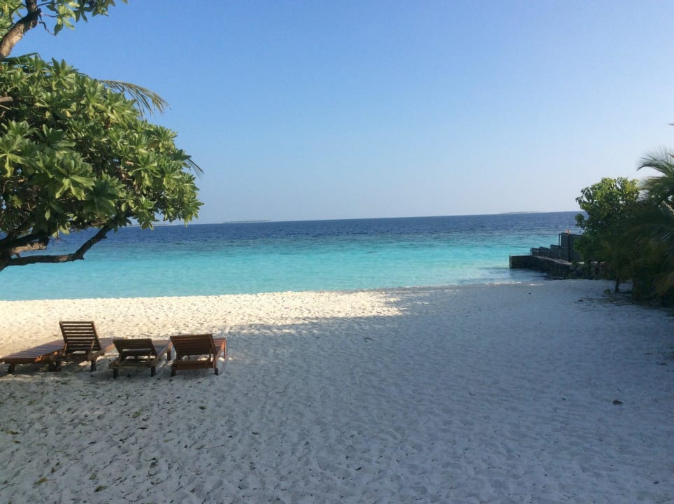 Blick vom Pool aus Adaaran Select Meedhupparu Island Resort - Premium All Inclusive
