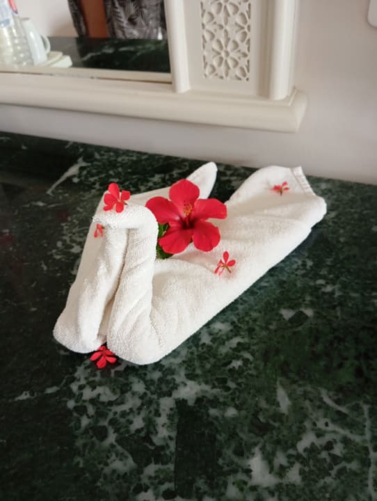 Zimmer Hotel Royal Nozha