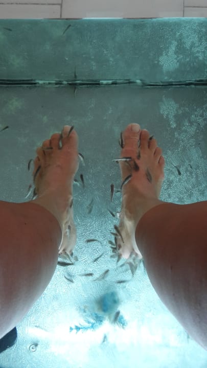 Kostenlose Fischmaniküre The Orangers Beach Resort and Bungalows