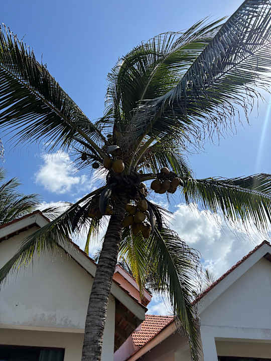 Gartenanlage Azao Resort & Spa - Hotel Zanzibar