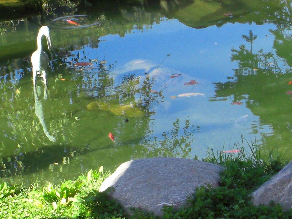 Fischteich Alphotel Tyrol