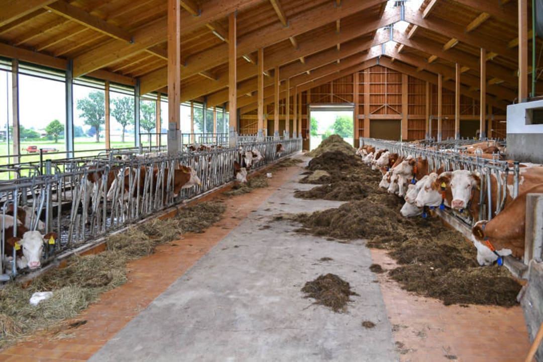Unser neu gebauter Laufstall Bio-Bauernhof Zacherlhof