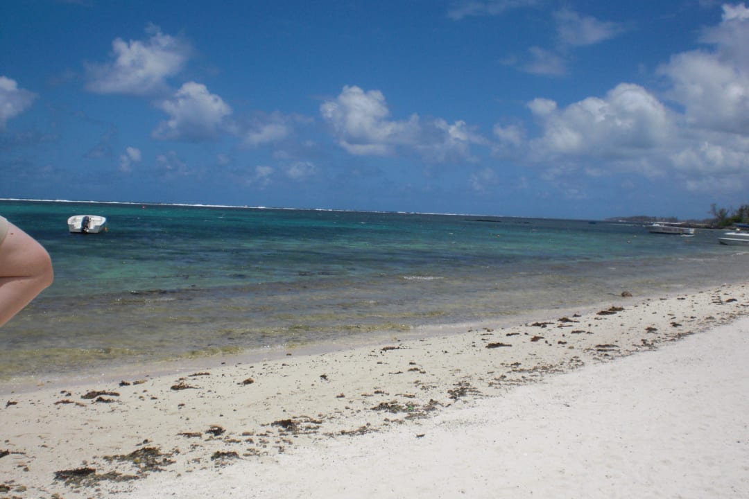 Strand bei Ebbe Solana Beach Mauritius