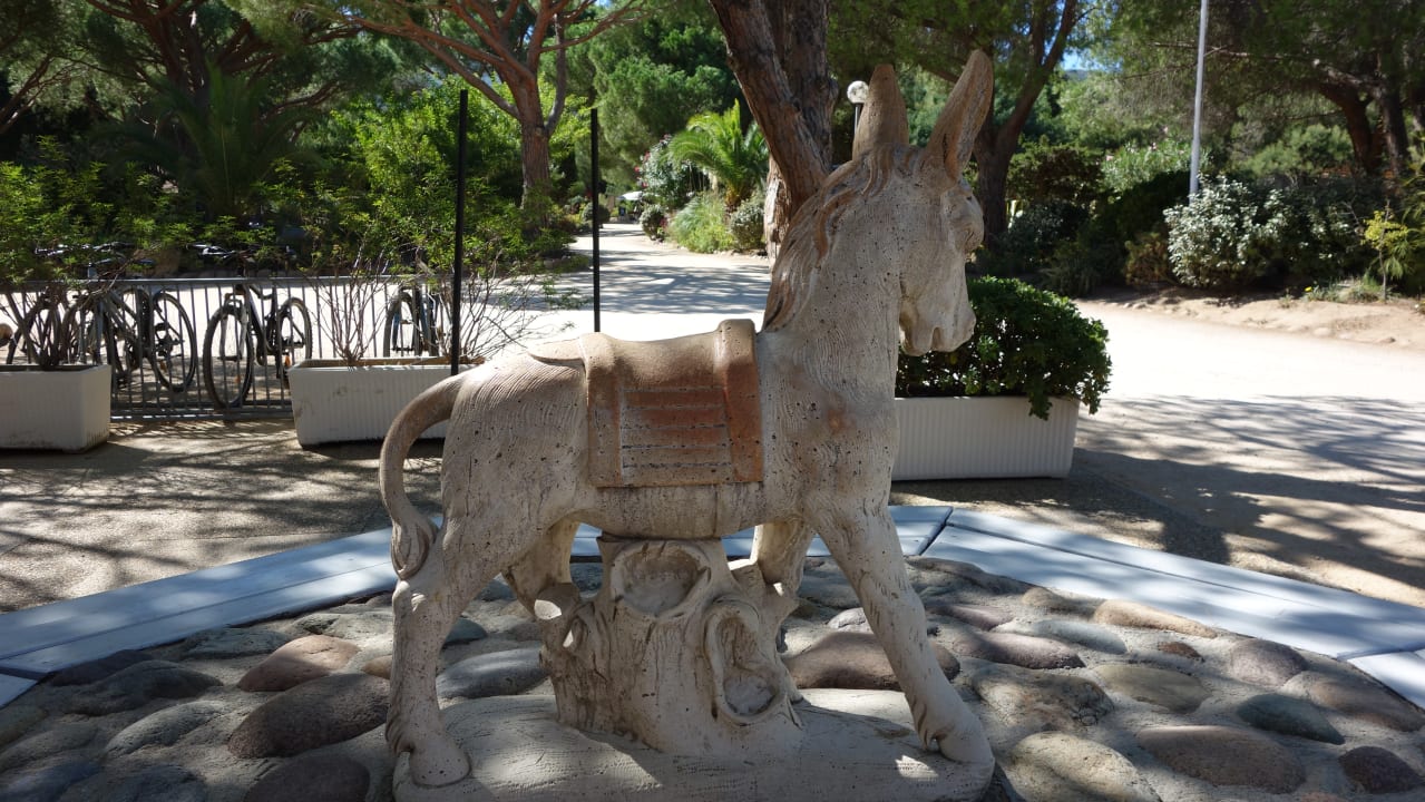 Sonstiges Feriendorf Zum Störrischen Esel