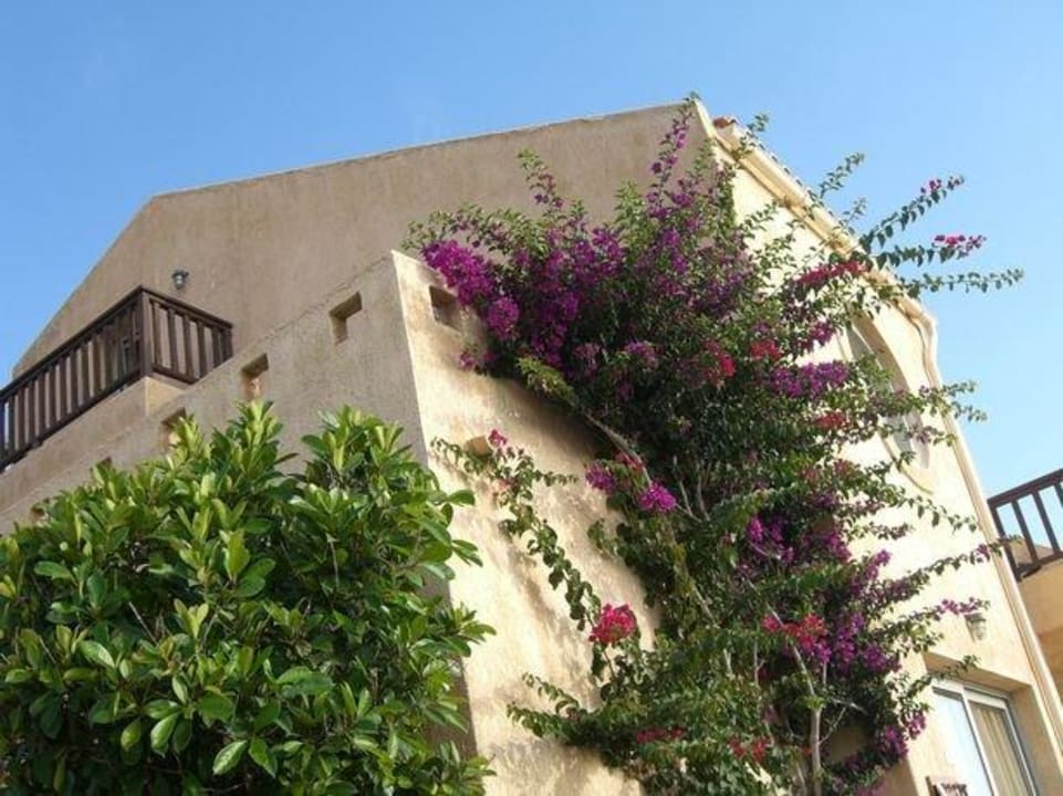 gepflegte Gartenanlage Seaside A Lifestyle Resort