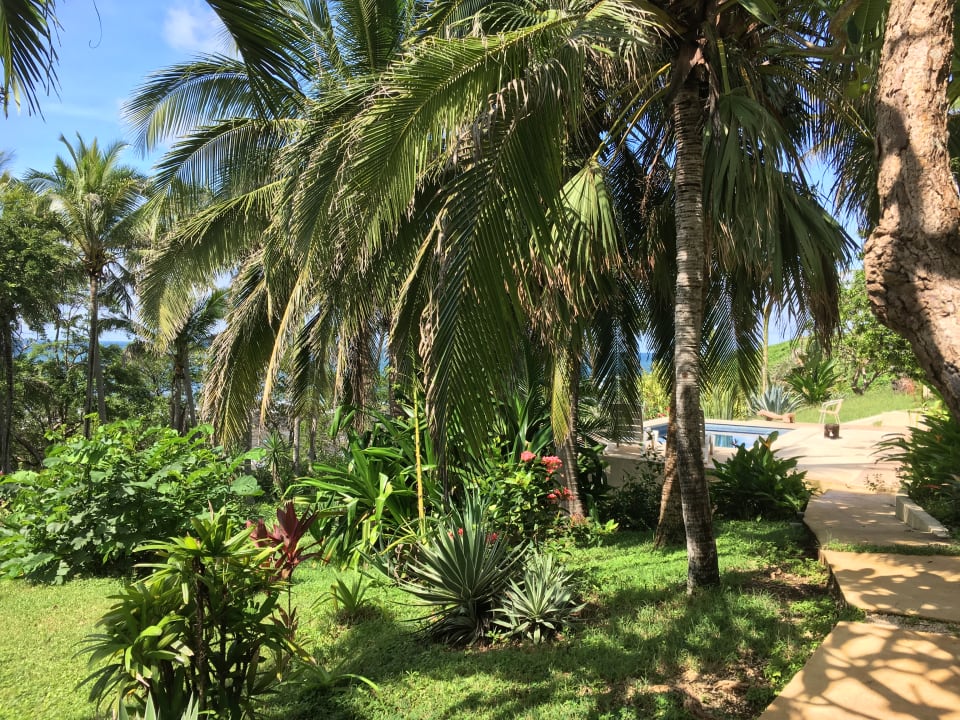 Gartenanlage Casas Pelicano