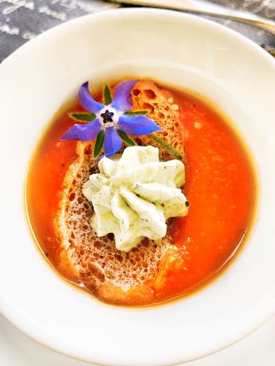 Gastro Panoramahotel Wildschütz