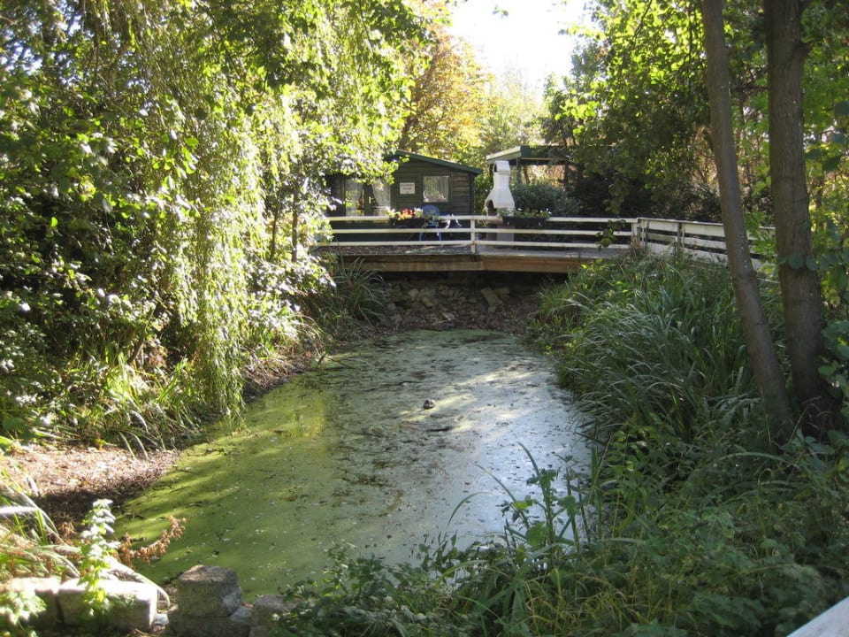 Garten Hotel Appartment Anlage Büsum Stinteck