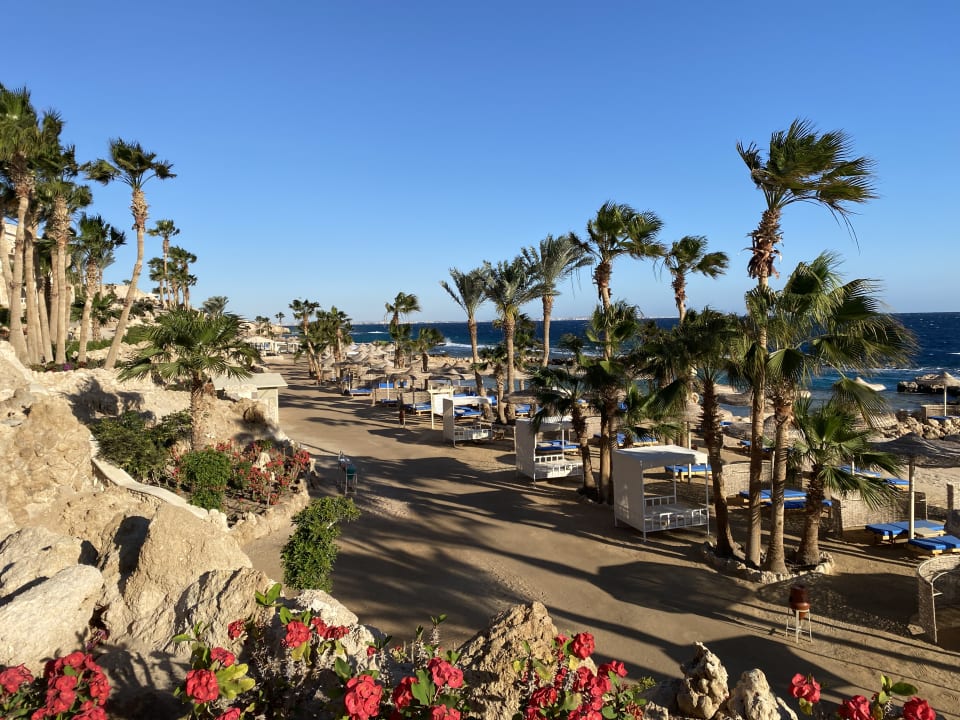 Strand Pickalbatros Citadel Resort