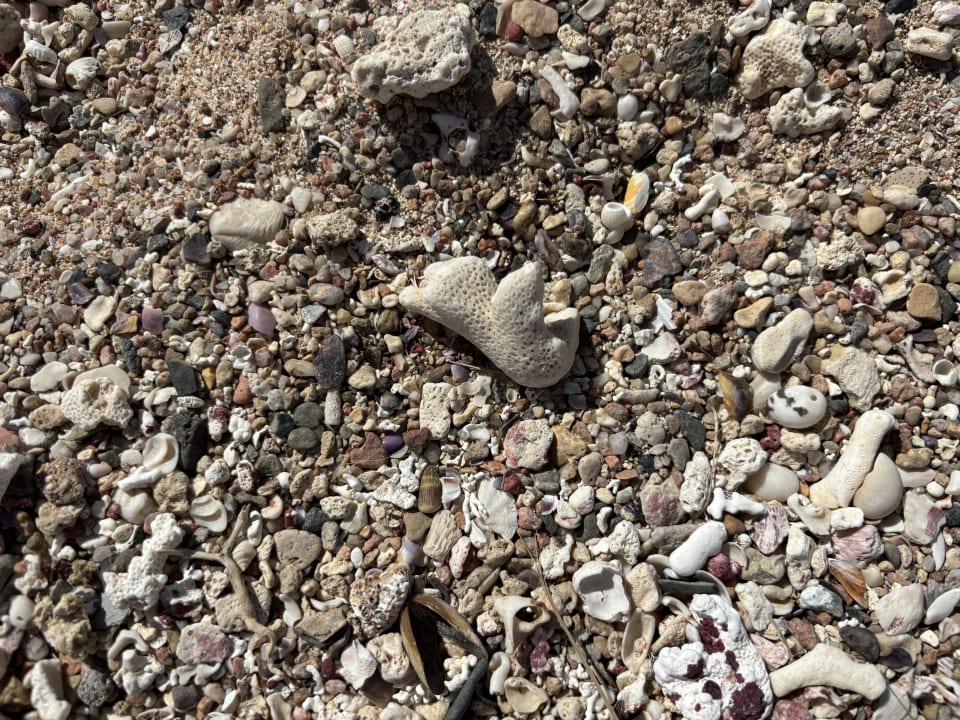 Sonstiges Steigenberger Coraya Beach - Adults only