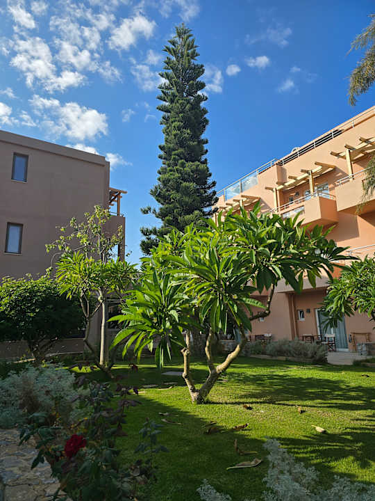 Gartenanlage High Beach Resort