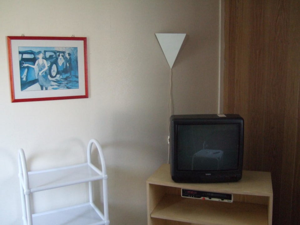 Fernseher mit Kabelanschluß Het Grootslag Vakantiepark