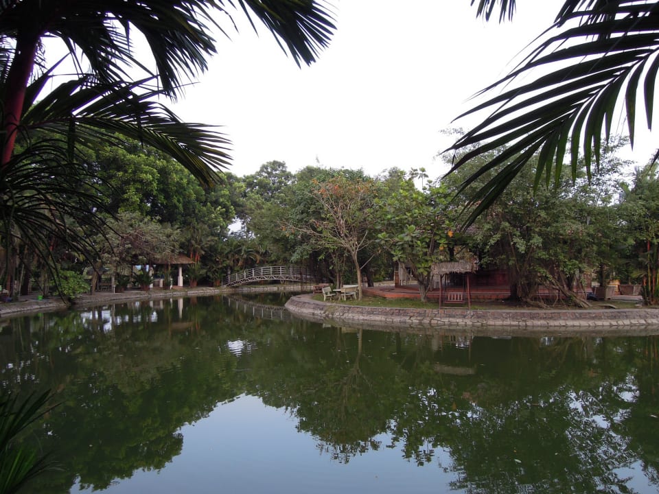 Teich in der Anlage Villa h2o