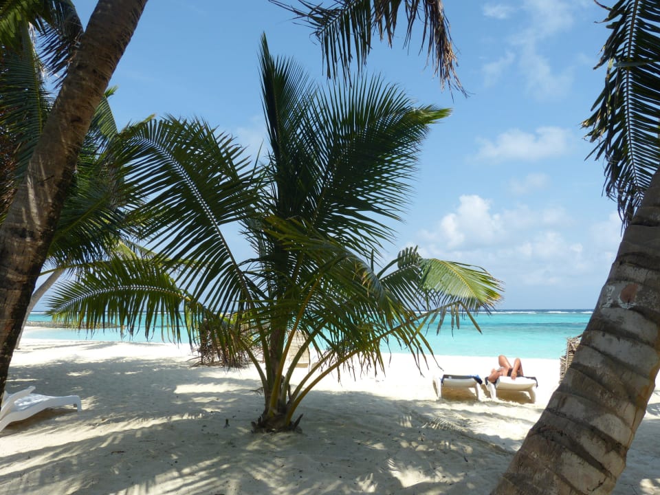 Superiorbungalow 213 Summer Island Maldives