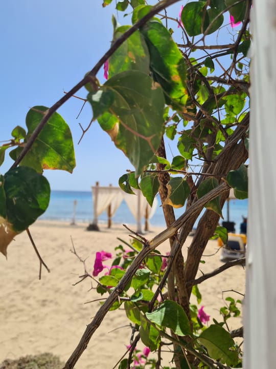Strand Fort Arabesque Resort, Spa & Villas