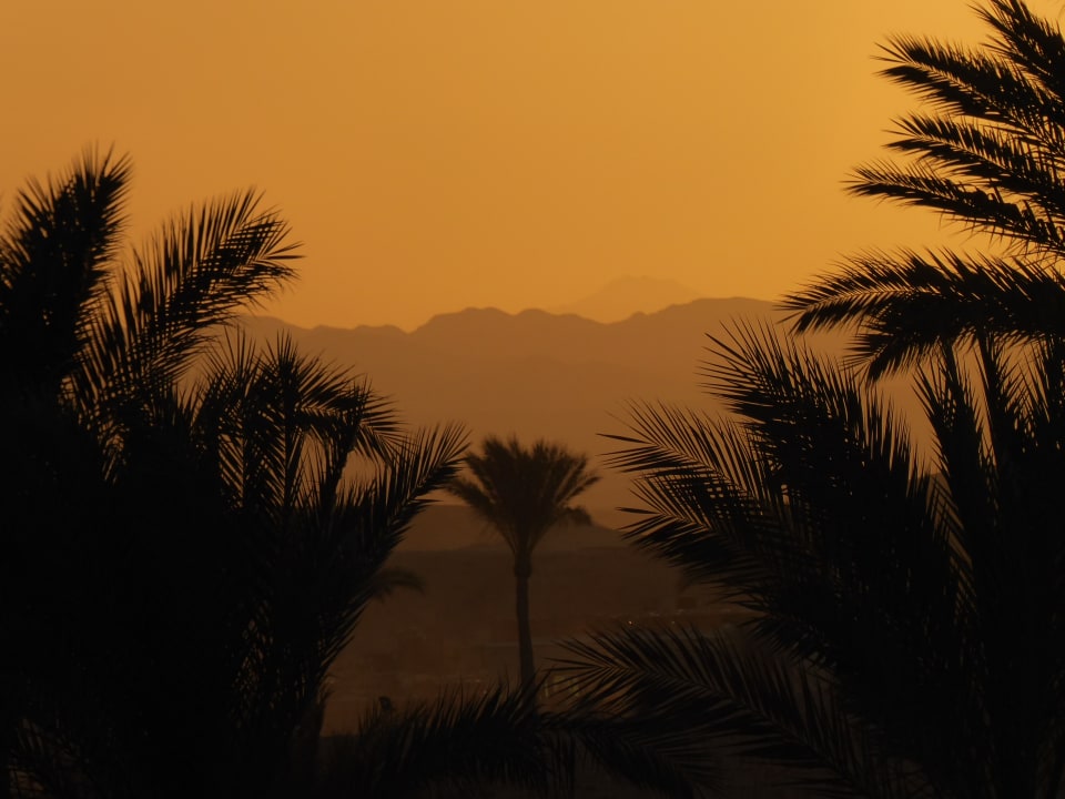 Ausblick Steigenberger Coraya Beach - Adults only