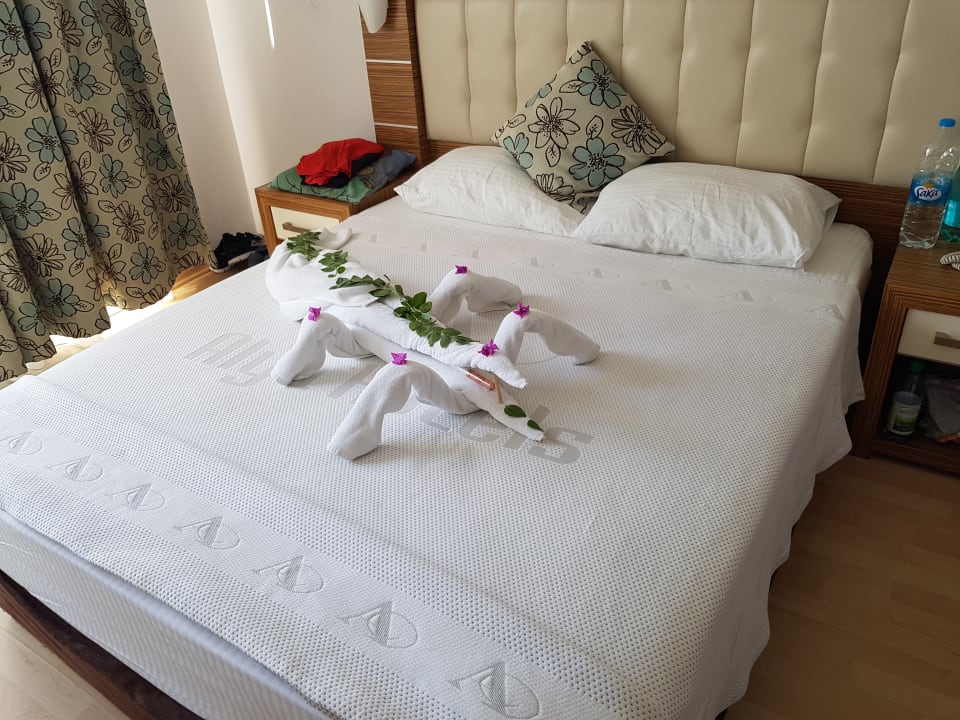 Zimmer Blue Diamond Alya