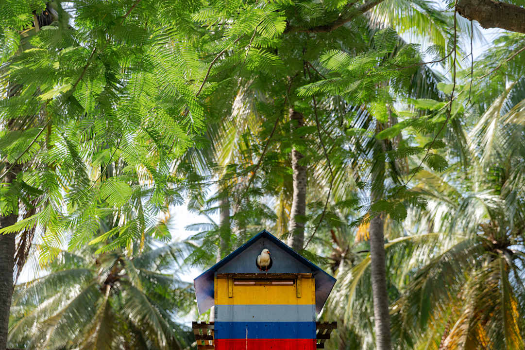 Gartenanlage Seahorse Resort & Spa