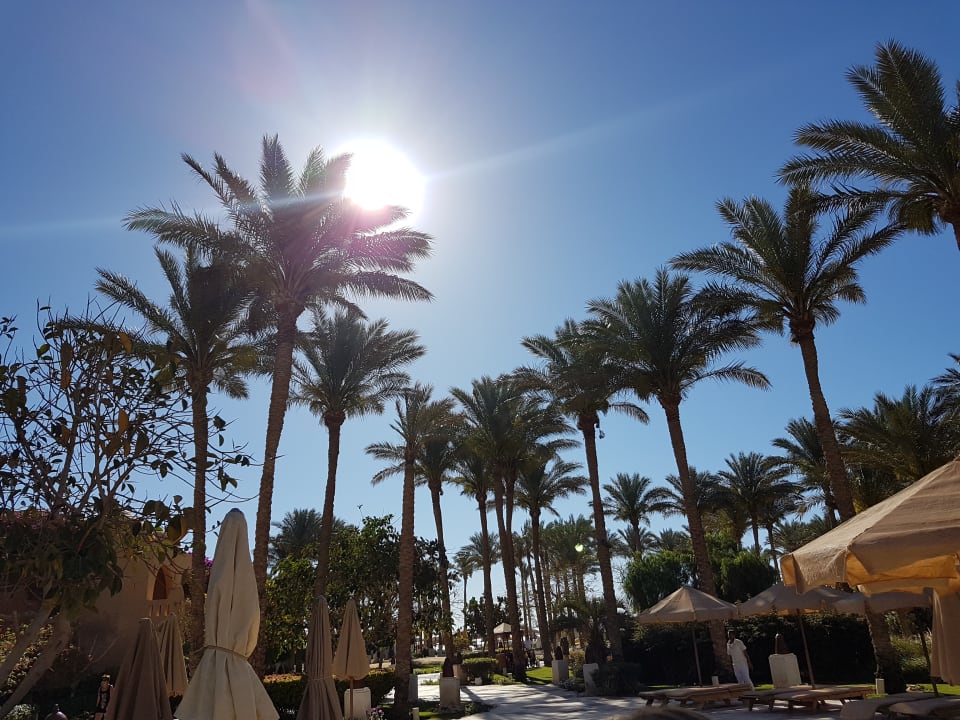 Garten Makadi Palace