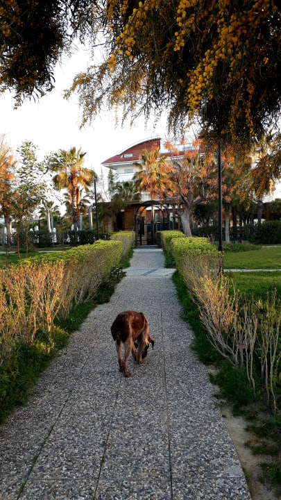 Gartenanlage Sentido Trendy Verbena Beach