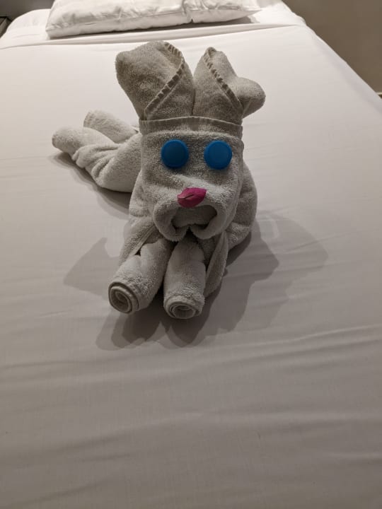 Zimmer Hotel Emerald Lagoon