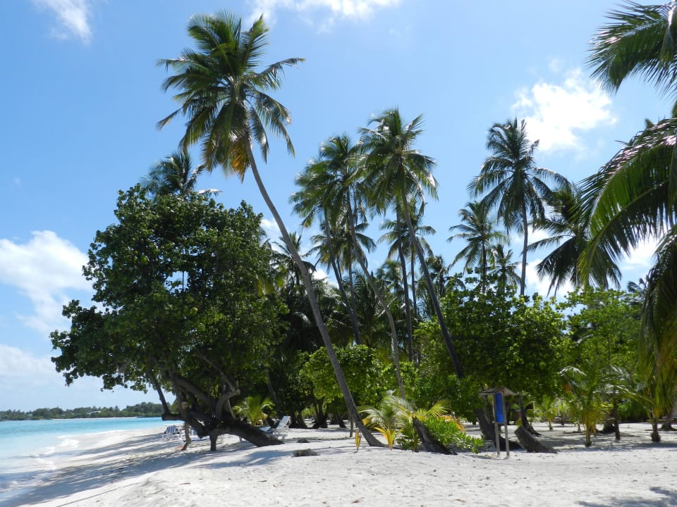 Am Strand Meeru Maldives Resort Island