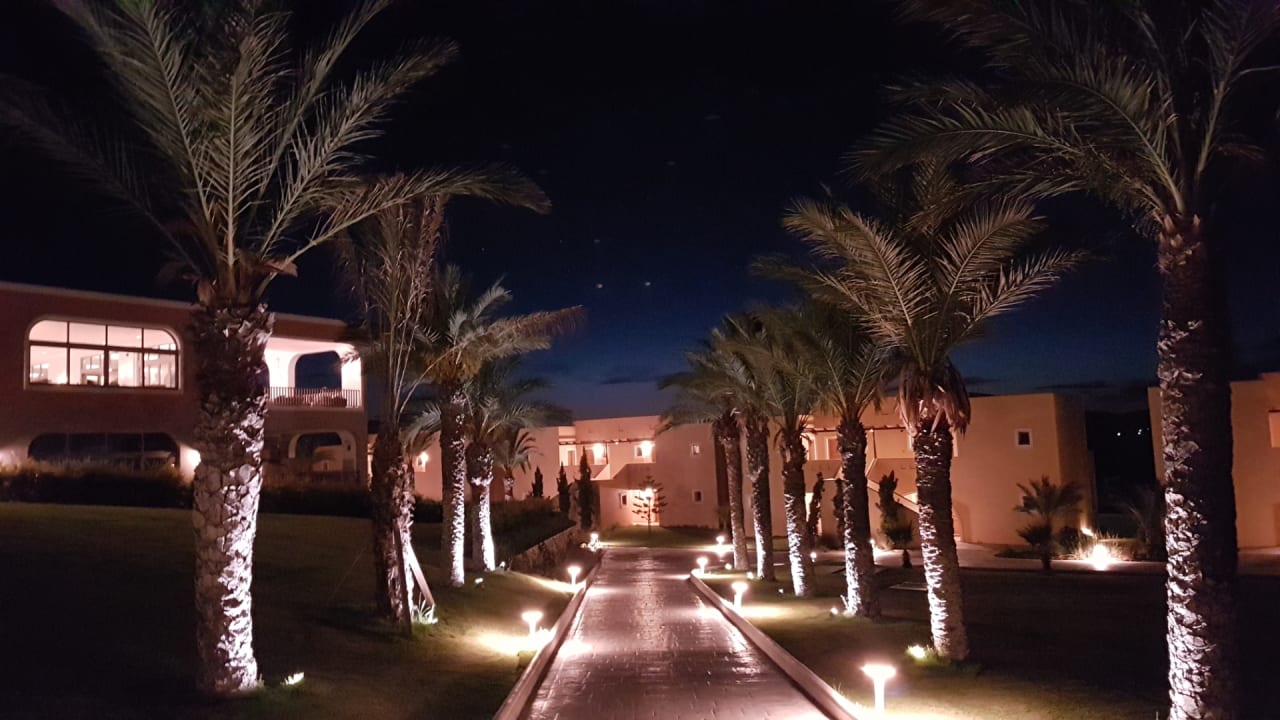 Gartenanlage Hotel Horizon Beach Resort