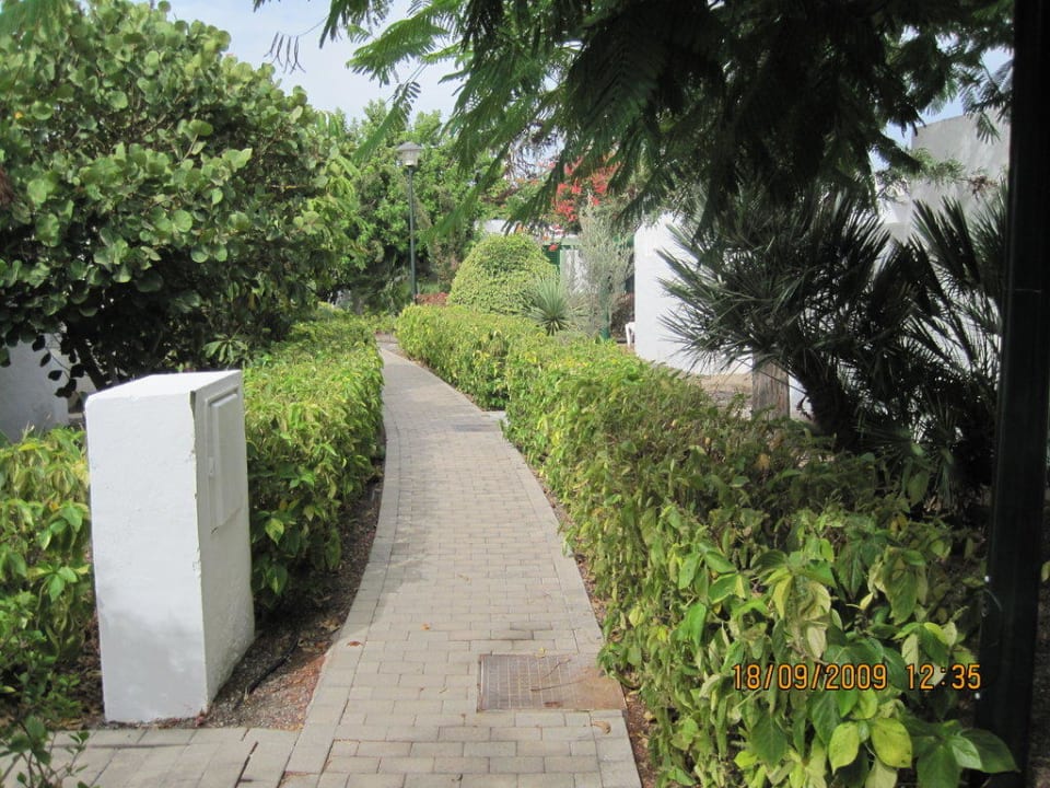 Der lange weg zu der Rezeption Bungalows Cordial Sandy Golf