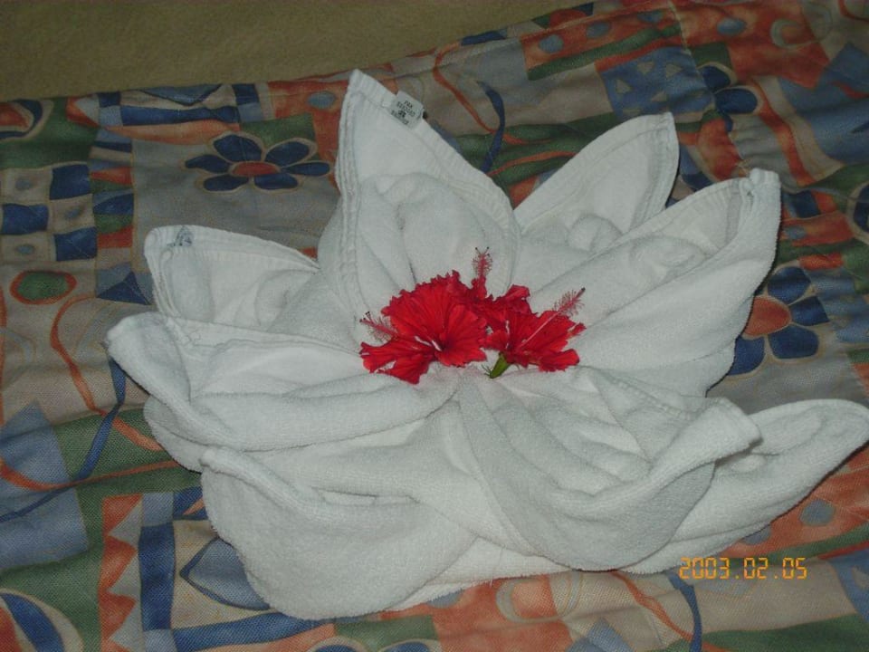 Hotel holiday inn Sultan Gardens Resort