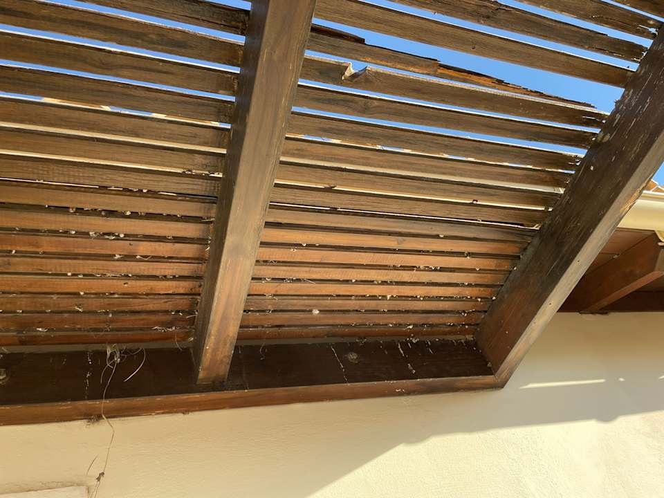 Zimmer Natura Park Village Hotel & Spa