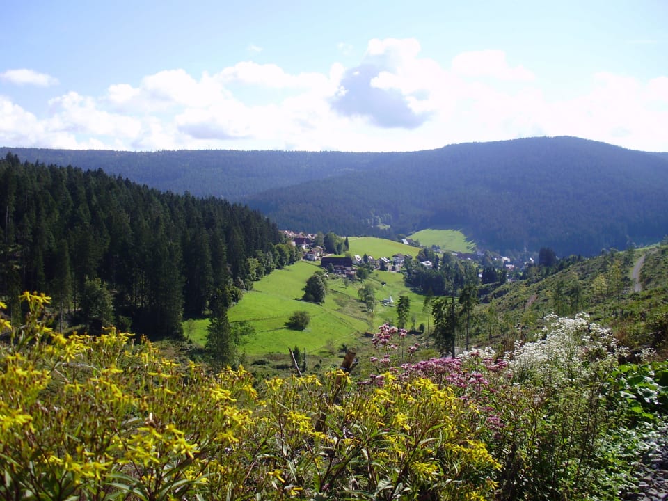 Wunderschöner Schwarzwald Hotel Sonne