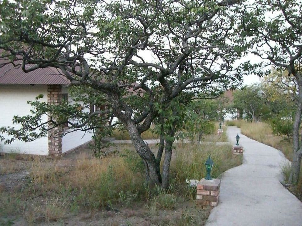 Lage der Bungalows Etosha Safari Lodge