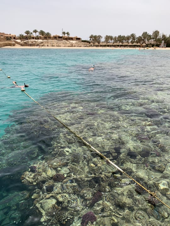 Strand Mövenpick Resort El Quseir