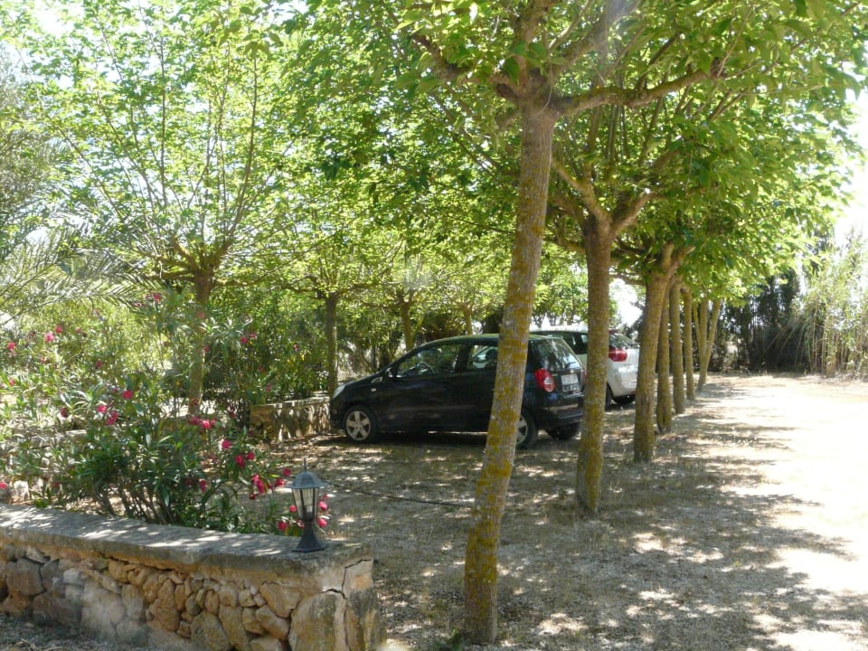 Parking Finca Es Palmer