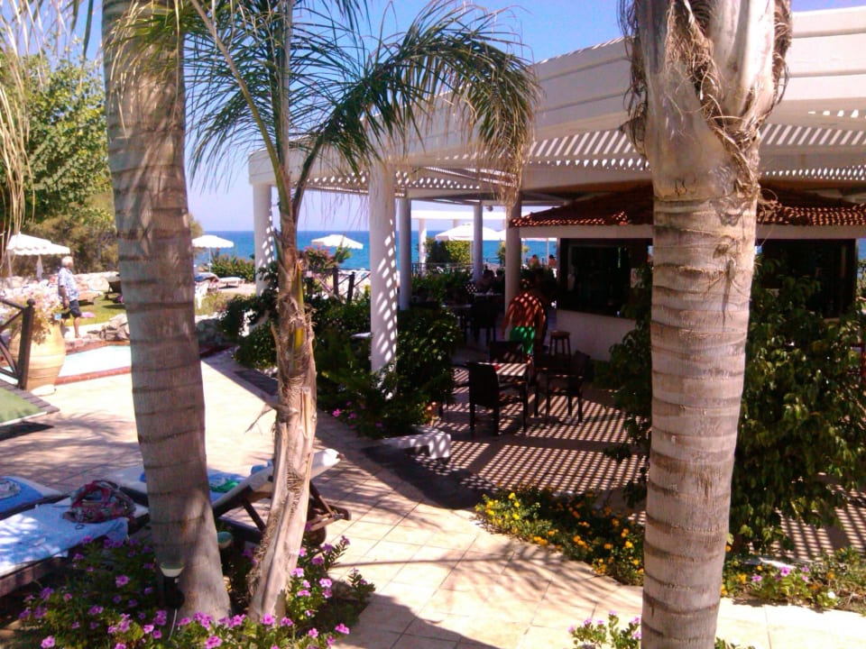 Poolbar Hotel Calypso Beach