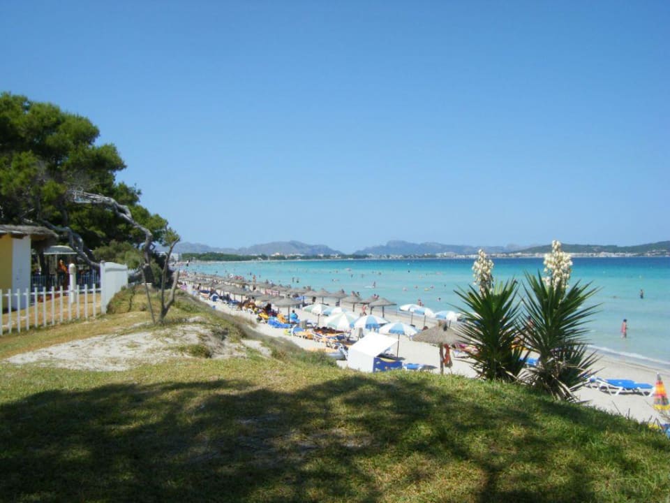 Strand direkt am Hotel Iberostar Waves Playa de Muro
